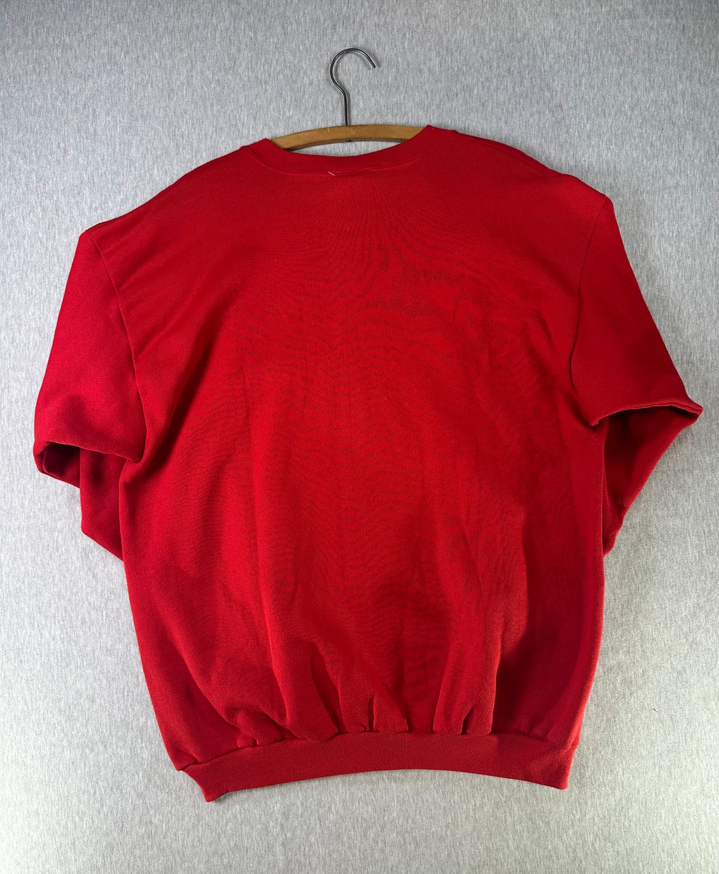 Vintage 1995 San Francisco 49ers Super Bowl XXIX NFC Champions Sweatshirt — NOS 2XL